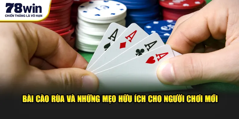 Bài Cào Rùa Và 3 Mẹo Hữu Ích Dành Cho Người Chơi Mới