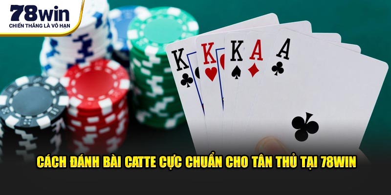 Hướng dẫn cách đánh bài catte hiệu quả nhất tại thương hiệu 78WIN